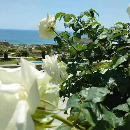 Helen Holiday home Kipri (Andros)